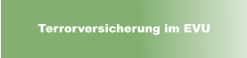 Terrorversicherung im EVU